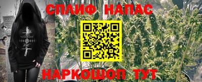 СК Донской