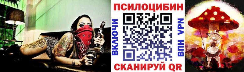 Псилоцибиновые грибы Cubensis  цена наркотик  Мариинск 