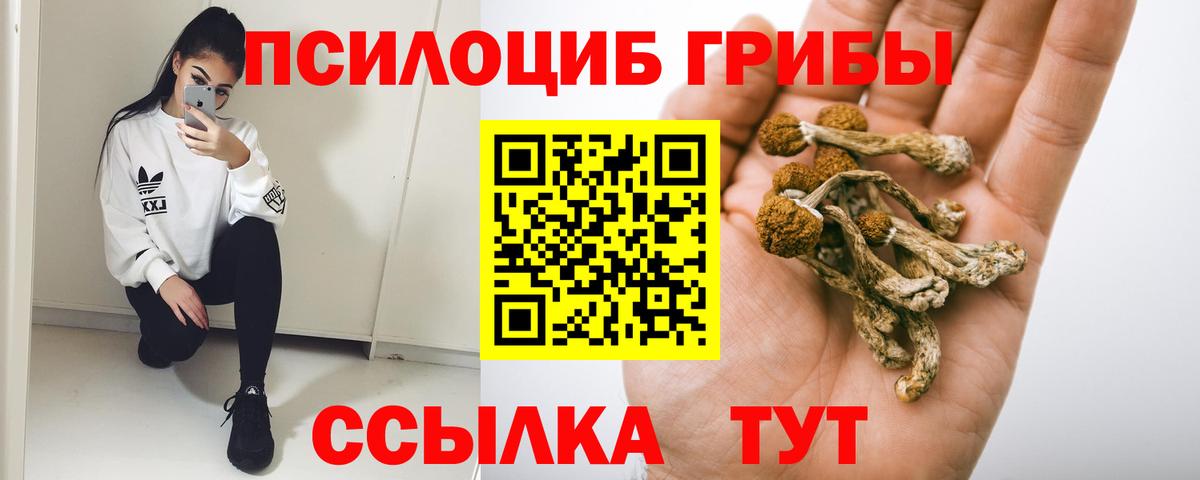 Мариинск  Псилоцибиновые грибы мицелий  Псилоцибиновые грибы прущие грибы  Вход с VPN 