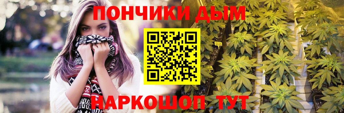 Бошки Шишки Amnesia Мариинск